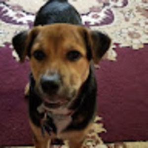 Meet your Posher, Tim